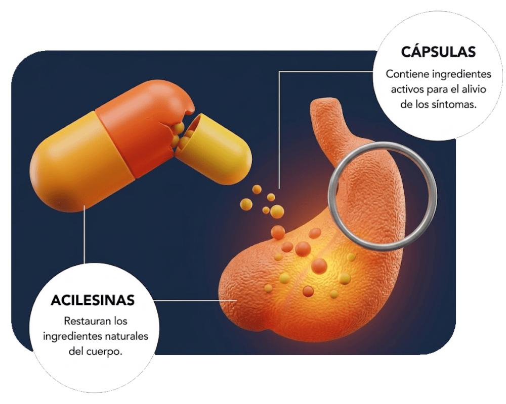 capsulas y rinon